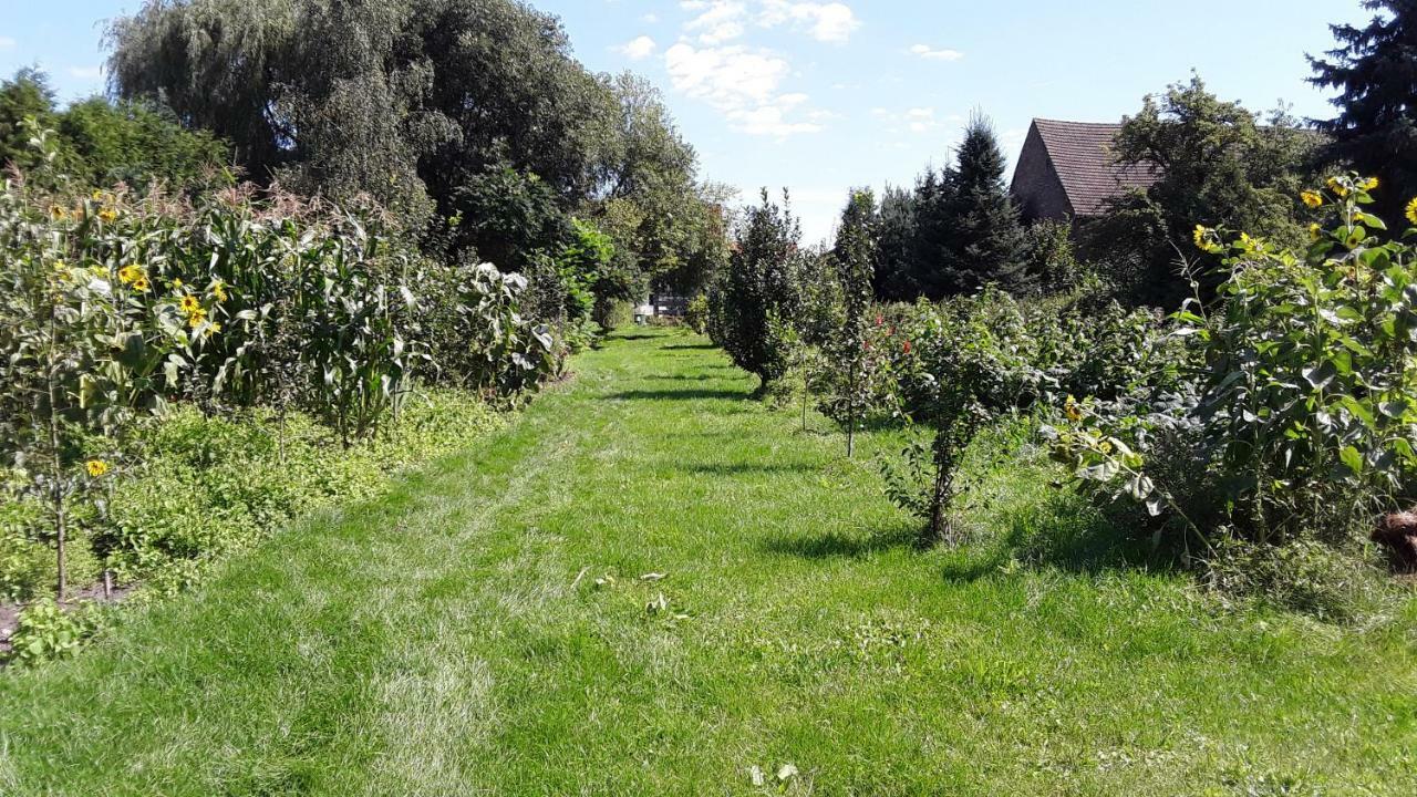 Gaestezimmer Sommer Locktow エクステリア 写真