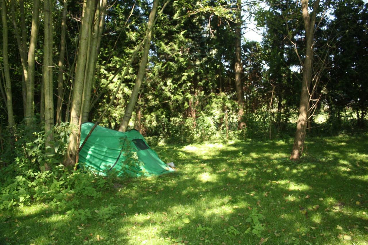 Gaestezimmer Sommer Locktow エクステリア 写真